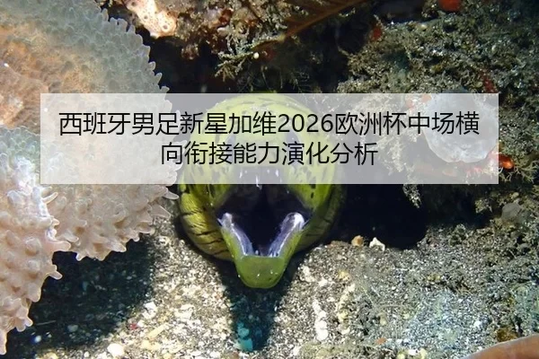 西班牙男足新星加维2026欧洲杯中场横向衔接能力演化分析